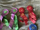 Horse Show Ribbons Large Rosettes Lot Of 15 Vintage Purple  Green Red White 80 s