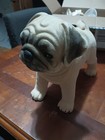 8 Inch Tall  Velvet Pug Doll