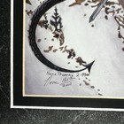 Vigilance - Mtg Artist Nene Thomas Illustrations Numbered And Signed