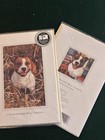 Staffordshire Bull Terrier Vintage  Greeting Cards By Otter House 1999 Pack Of 6