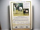 Vintage Appaloosa News Magazine Original September 1989