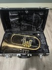 Yamaha Flugelhorn Case