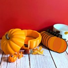 Pumpkin Coasters With Container   Set Of 8 Fall Drink Coasters