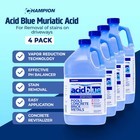 Champion Acidblue Muriatic Acid 1 Gallon  pack Of 4 