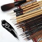 20 Pcs Writing Brush Set - Chinese Calligraphy Brushes With Kanji  Japanese S   
