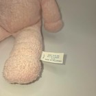 Vintage Eden Toys Pink Terry Cloth Baby Doll Ruffled Bonnet Gingham Lovey