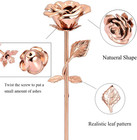 Rose Flower Keepsake Urns For Human Ashes - Memorials Urn Locket - Long-stem Col