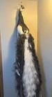 Beautiful Hazel Piebald Peacock Taxidermy Stuffed Wall Mount