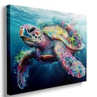 Ypxzzj Framed Sea Turtle For Bathroom Wall Decor  Colorful Starfish Turtle 