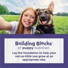 Purina Puppy Chow Dry Dog Food For Large Breeds  High Protein Growth