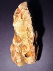 Fossil Rock Ozark Mountains 120 71 Grams
