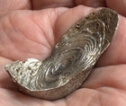Silver Sycee Yuanbao Ingot 35 7g Us Seller 45mm X 21mm Age Unknown