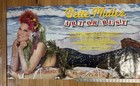 Bette Midler - Art Or Bust  1985  Vintage Promotional Poster   Huge 60 x24 