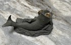 Antique vintage Cast Iron Koi Fish Garden Sprinkler