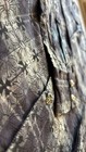Affliction Men s L Gray black Plaid Long Sleeve Button-up Cotton Pockets