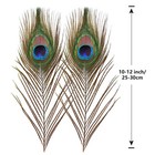 10pcs Natural Peacock Feathers In Bulk 10-12inch For Diy Craft Wedding Flower   