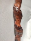 57  Handcrafted Wood Hiking Staff Natural Vine Twisted Walking Stick -name  Saga