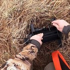 Dogtra Pl Pheasant   Chukar Bird Launcher Only  No Electronics  Rr Deluxe Needed