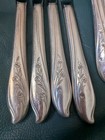 Silverplate Flatware Set Springtime International Silver 1847 Rogers Bros Euc