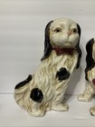 Pair Of Cavalier King Charles Spaniel Figurines Ceramic Nn2123 - Fastship 