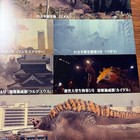 Shin Ultraman Official Movie Pamphlet Program Japan Exclusive Rare Collectible