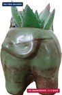 Cute Cartoon Animal Elephant Ceramic Succulent Cactus Flower Pot plant Pots plan