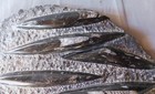 Ancient Squid Fossil Orthoceras Fossilized Extinct Ordovician Period Nautiloid