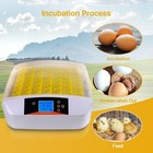 55 Egg Incubator With Humidity Display  Egg Candler  Automatic Egg Turner  For H