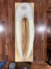 Reduced    Walrus Skull Mask Resin  Reproduction 25  Off Now  195 Best Offer