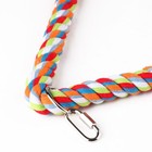 Medium Triangle Rope Swing Bird Parrot Cage Toys Cages Conure African Grey