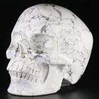 5 0  Howlite Carved Crystal Skull  Realistic  Crystal Healing