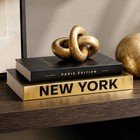 Beautiful Decorative Books - Set Of 2 Boxes For Coffee Table   Shelf Decor