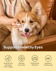 Eyes Wipes For Dogs   Cats  Vet-recommended Dog Eye Infection Treatment  Gently