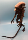 Neca 2015 Alien Isolation Xenomorph Aliens Figure Reel Toys - Loose  b 