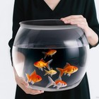 Large Durable Fish Bowl Transparent Aquarium Aquatic Plants   Creative Decor New