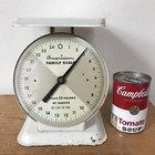 Vintage Antique American Family White Gray Enamel Metal Baby Scale 25lbs