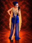 Dreamgirl Medieval Renaissance Velvet Royal Blue Halloween Queen Costume Dress S