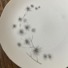 Creative China 1014 Dinnerware Set 31 Pieces Platinum Starburst