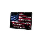 Mack R 600 u600 dm600 Bugscreen With Smokey Flag