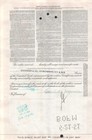 Bond Stores  Inc - Original Stock Certificate - 1951 - C039219