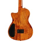 Cordoba Stage Artist Nylonstring Electric Guitar  Agave Burst