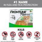 Front Plus Flea And Tick Treatment For Cats Over 1 5 Lbs  6 Treatments