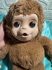 Little Live Pets My Baby Monkey Mango For Kids Interactive Sucks Thumb