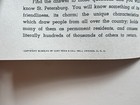 1947 St Petersburg Florida Travel Guide W  Great Color Illustrations Of The City