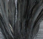 25 Pcs 10-12  Long Midnight Black Dyed Rooster Coque Tail Feathers For Crafting