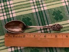       antique Sterling Silver Watson Teaspoon Floral Series Carnation Flower