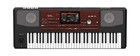 Korg Pa700  61-key Professional Arranger Keyboard Working Station  new  
