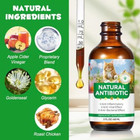 Antibiotics For Cats  Natural Cat Cats