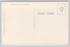 Vintage Linen Postcard Scenic River Landscape By Asheville Post Card Co 