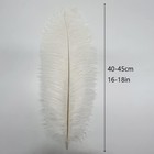 10pcs Large White Ostrich Feathers 16-18 Inch Fluffy Inch  
